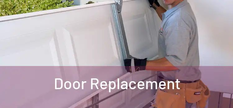  Door Replacement 