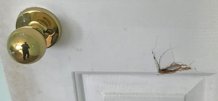 interior door hole repair Midway City