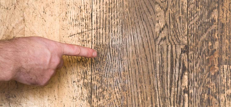 Wood Door Scratch Repair in Midway City